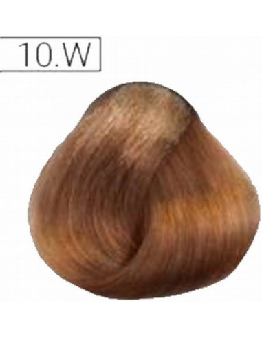 Absoluk Permanent Hårfärg 10W 100ml