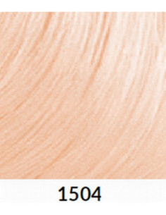 FÄRGBLÄCK 1504 60ml