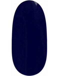 Snabb gellack LED/UV - 595Q