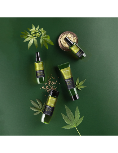 CANNABIS Återfuktande-utjämnande...