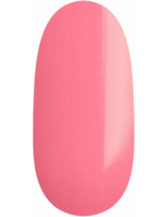 Gellack UV/LED - 293b