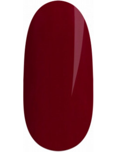 Snabb gellack LED/UV - 411Q