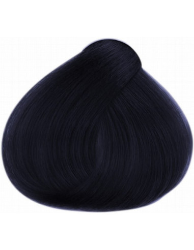 FÄRG BÄR GLANS 01.12