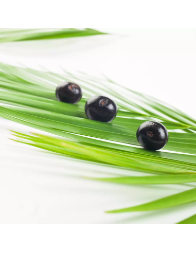 Keratin HEALING OIL Keratinolja...