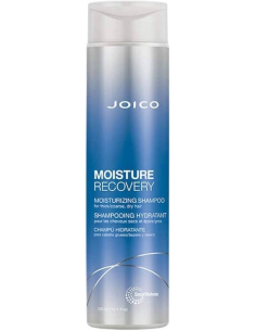 JOICO MOISTURE RECOVERY...