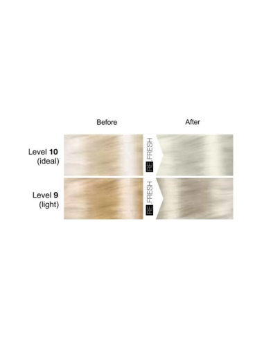 Re.Fresh SILVER toningsmask 250ml