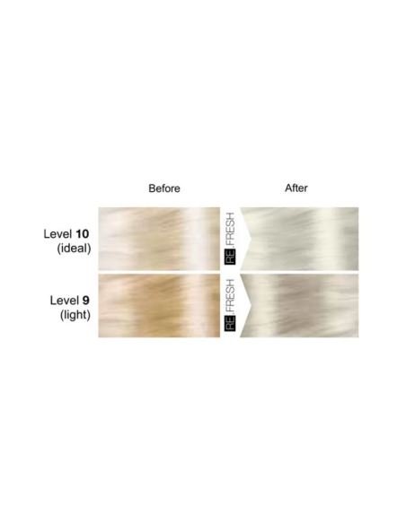 Re.Fresh SILVER toningsmask 250ml