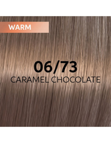 Wella Shinefinity 06/73 – tonande...